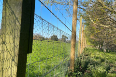Photo-_1