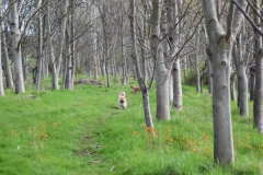 Photo-_7